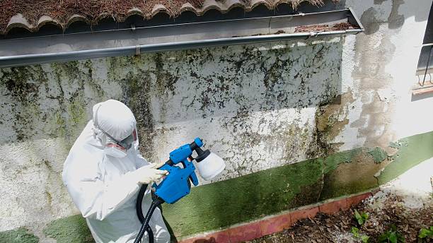 Top rated local Mold Inspection specialists in Fort Loudon, PA